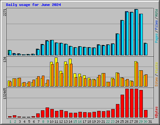 Daily usage for June 2024