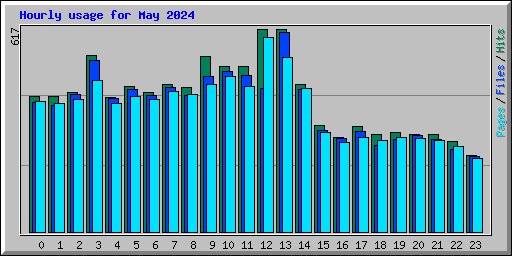 Hourly usage for May 2024