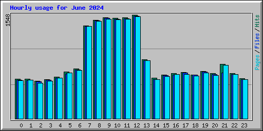 Hourly usage for June 2024