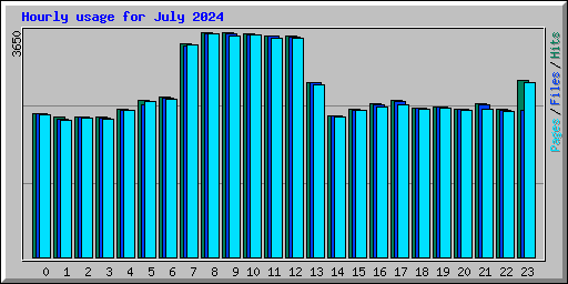 Hourly usage for July 2024