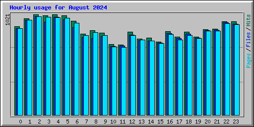 Hourly usage for August 2024