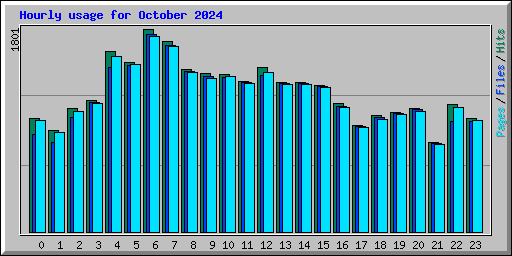 Hourly usage for October 2024